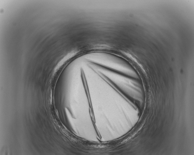 X0000086291317200704271752