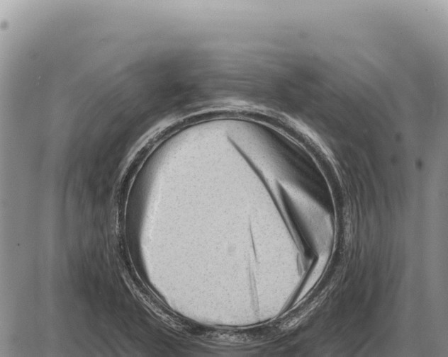 X0000086291318200704271752