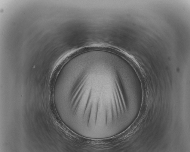 X0000086291319200704271752