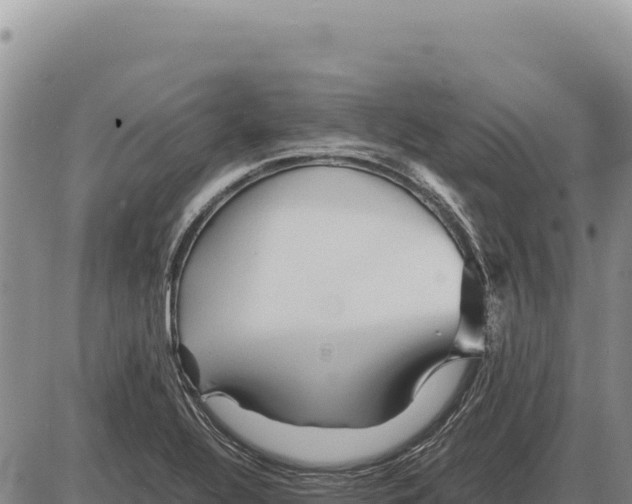 X0000086291320200704271752