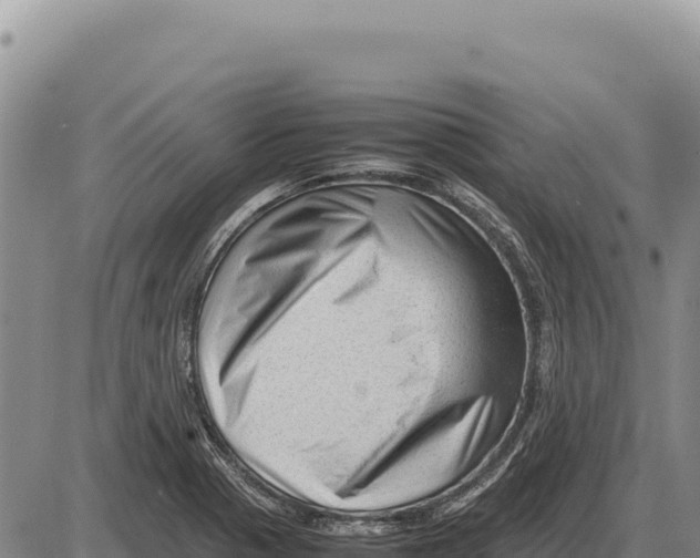 X0000086291321200704271752