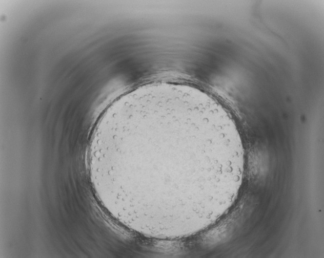 X0000086291322200704271752