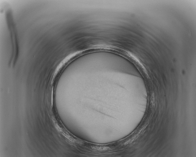 X0000086291323200704271752