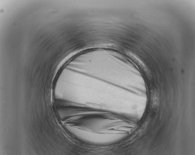 X0000086291324200704271752