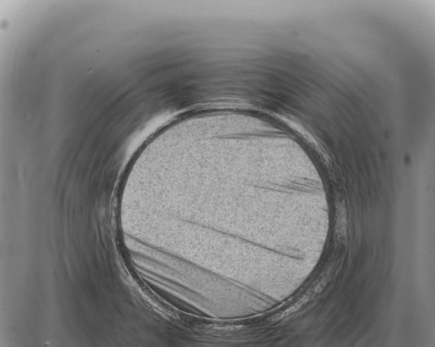 X0000086291325200704271752