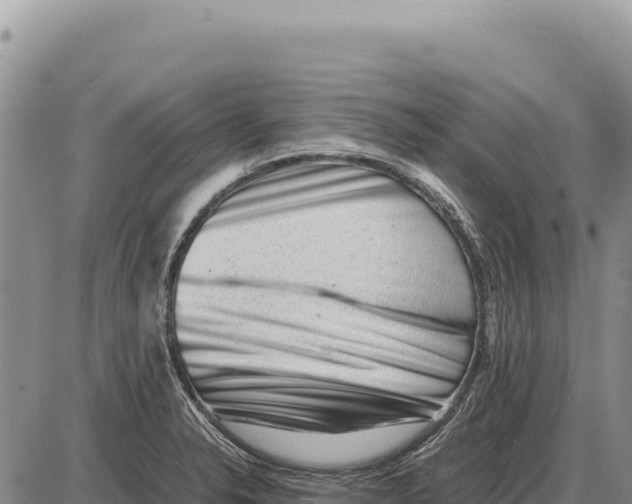 X0000086291326200704271752