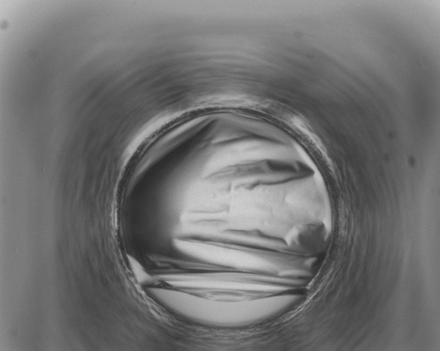 X0000086291328200704271752