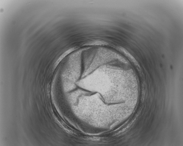 X0000086291329200704271752