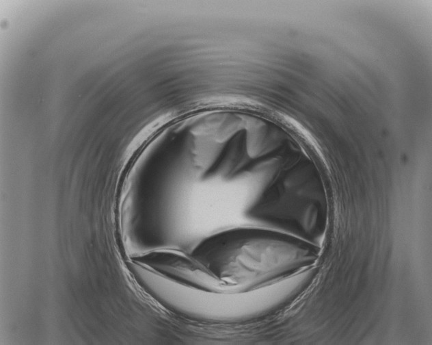 X0000086291330200704271752