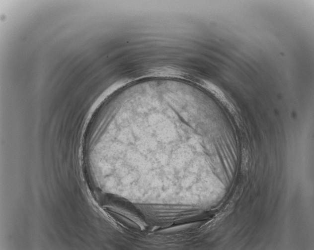 X0000086291331200704271752