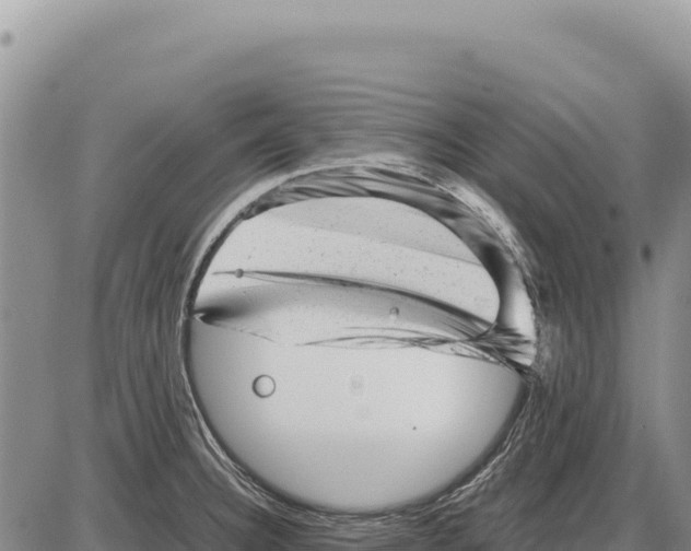 X0000086291332200704271752