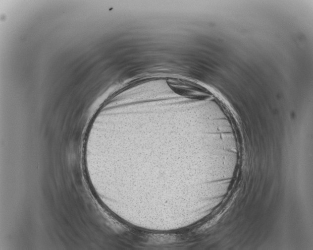 X0000086291333200704271752