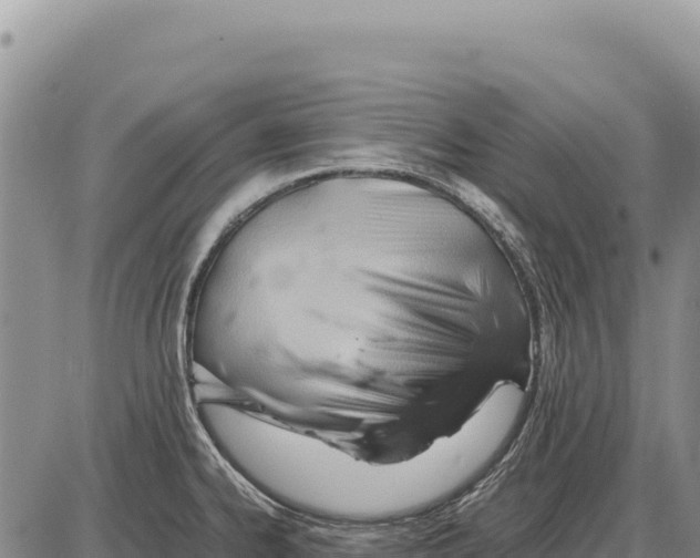 X0000086291334200704271752