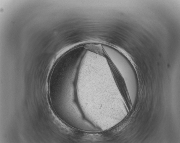 X0000086291335200704271752