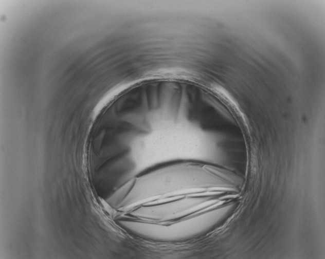 X0000086291336200704271752