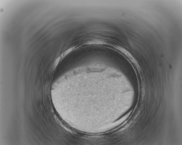 X0000086291337200704271752