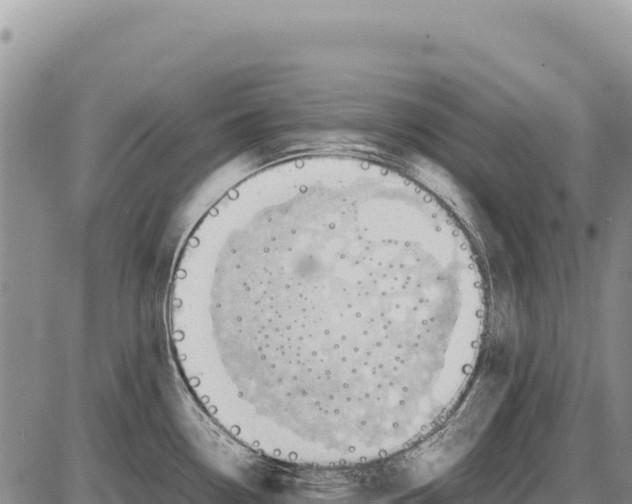 X0000086291338200704271752