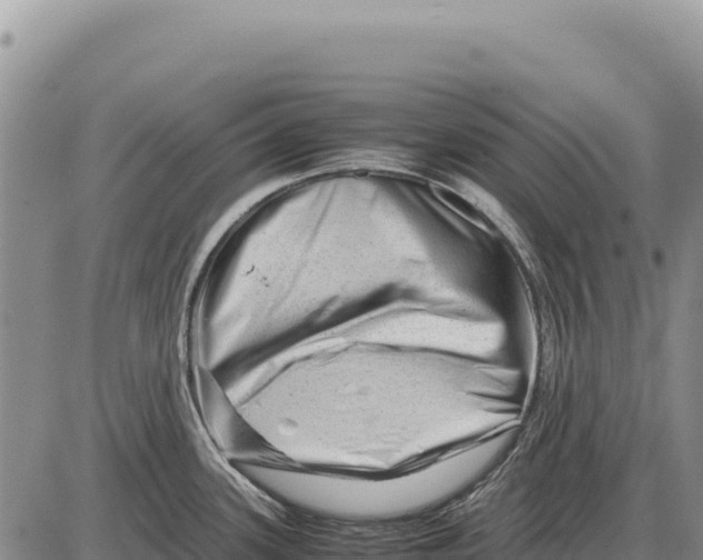 X0000086291339200704271752