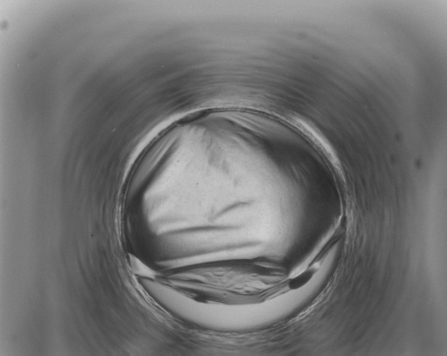 X0000086291340200704271752