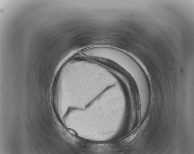 X0000086291341200704271753