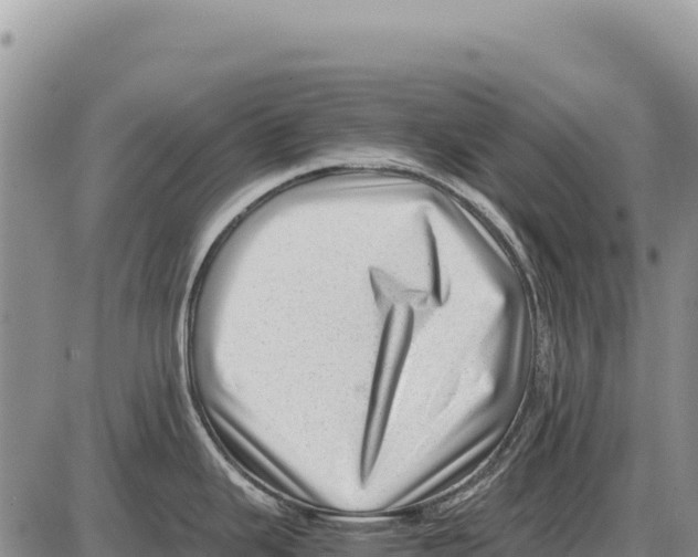 X0000086291343200704271753