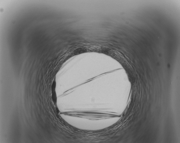 X0000086291345200704271752