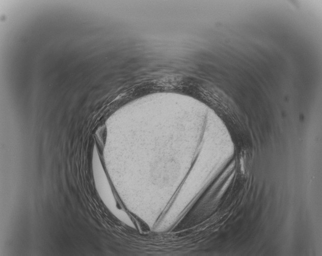 X0000086291347200704271752