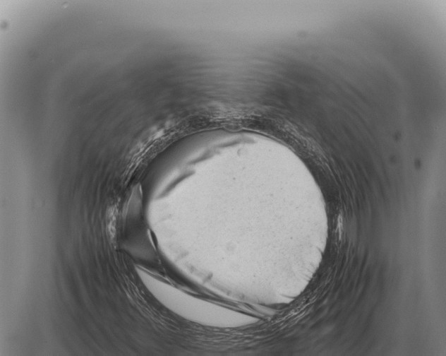 X0000086291348200704271752