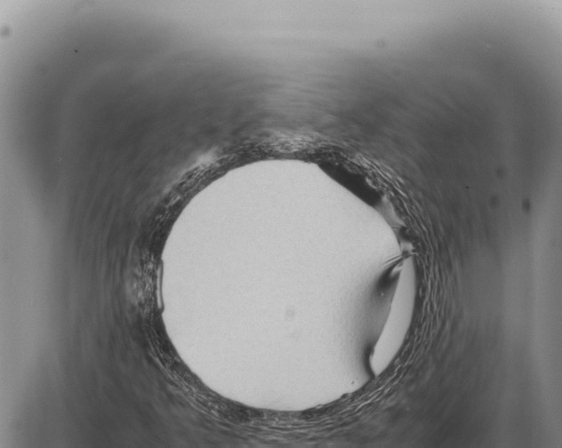 X0000086291349200704271752