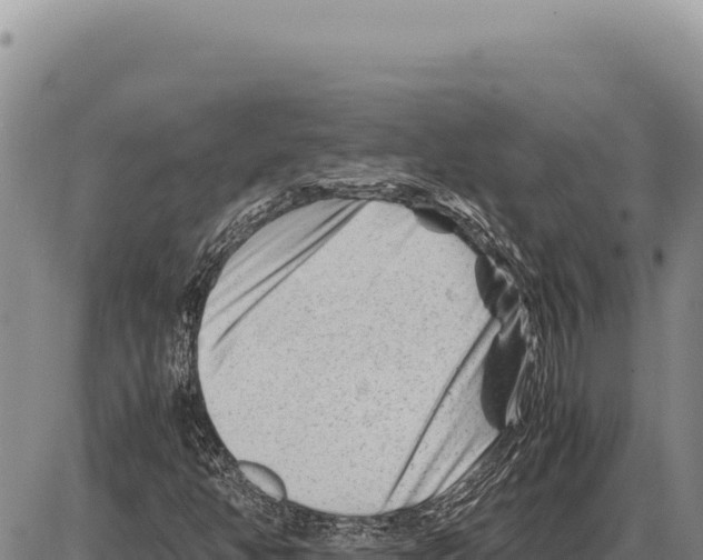 X0000086291350200704271752