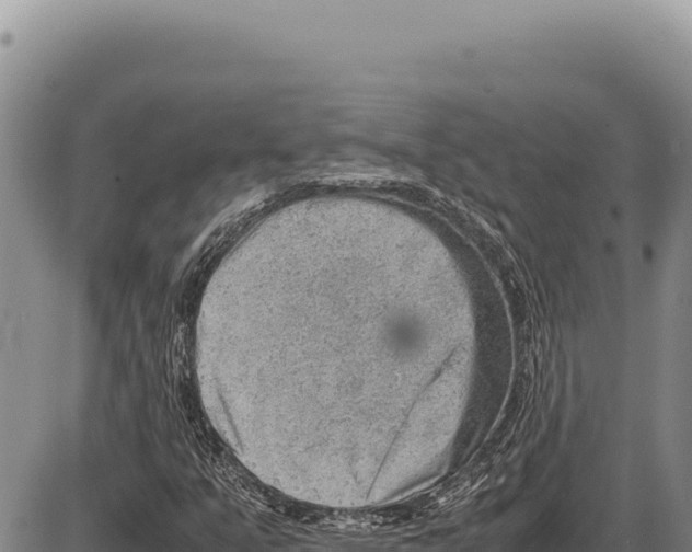 X0000086291351200704271752