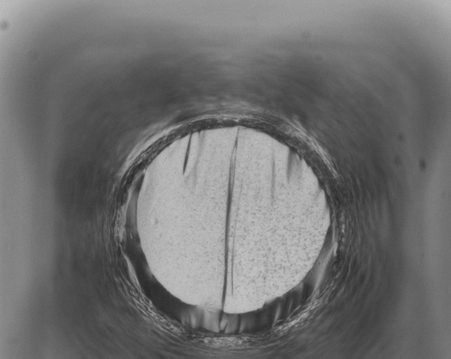 X0000086291352200704271752