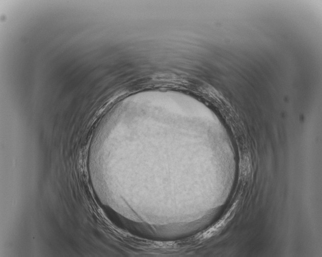 X0000086291353200704271752