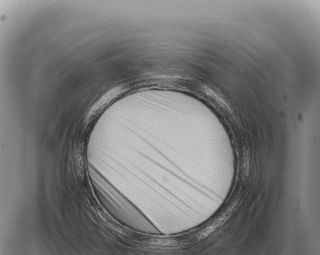 X0000086291354200704271752