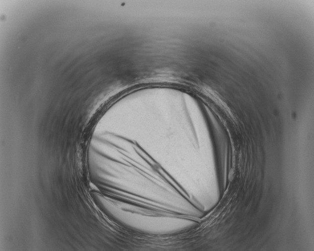 X0000086291356200704271752