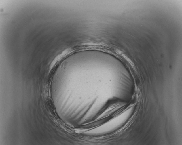 X0000086291357200704271752