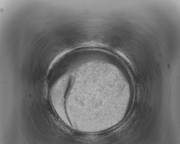 X0000086291358200704271752