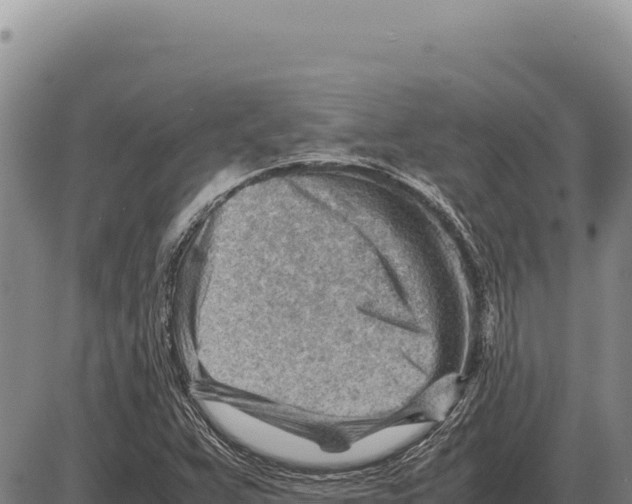 X0000086291359200704271752