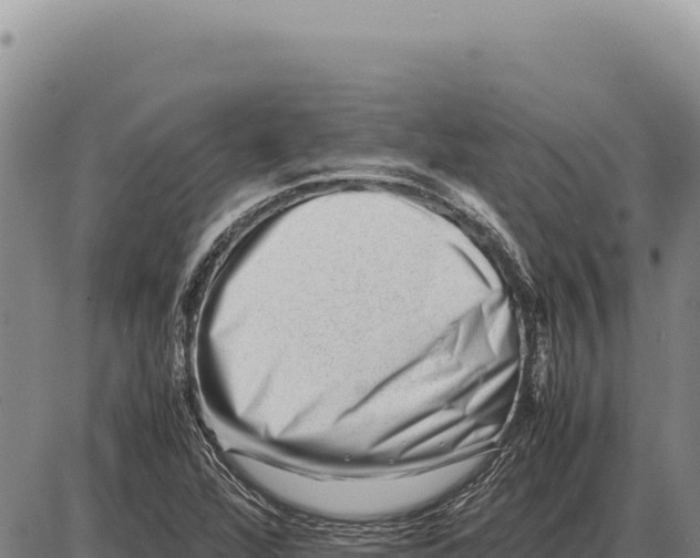 X0000086291360200704271752