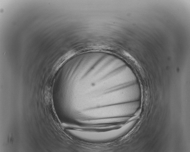 X0000086291361200704271752