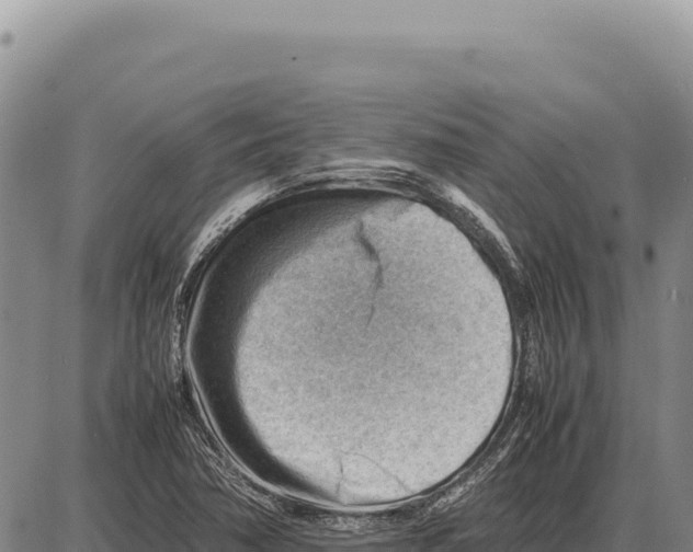 X0000086291362200704271752