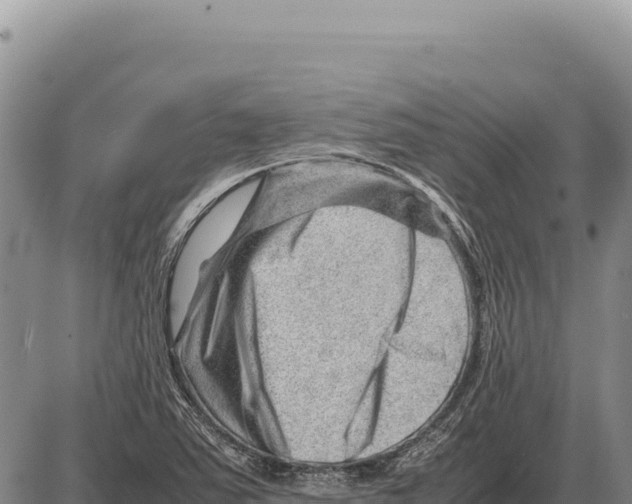 X0000086291363200704271751