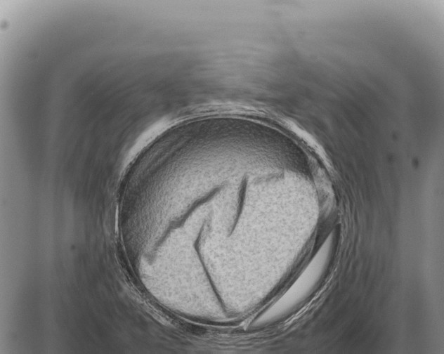 X0000086291365200704271751