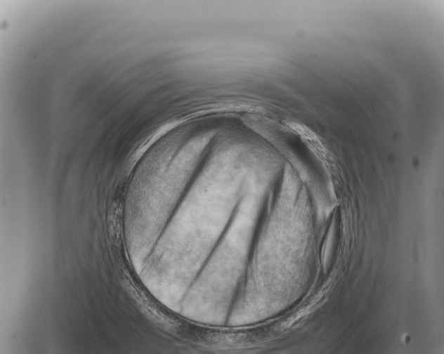 X0000086291369200704271751