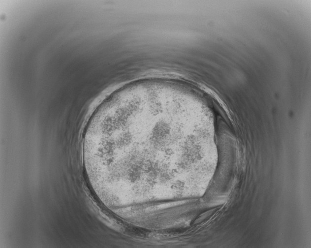 X0000086291371200704271751