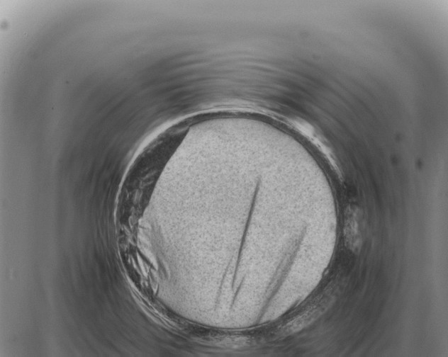 X0000086291372200704271751