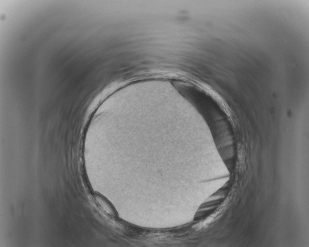 X0000086291373200704271751