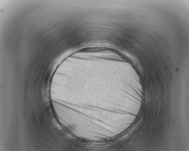 X0000086291374200704271751