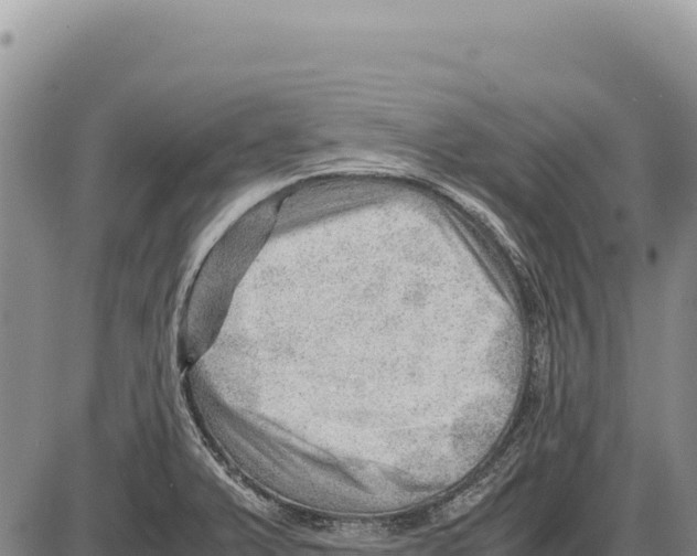 X0000086291375200704271751