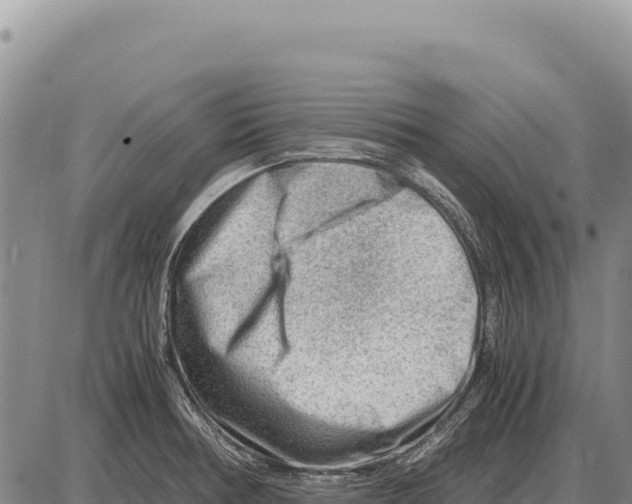 X0000086291378200704271751